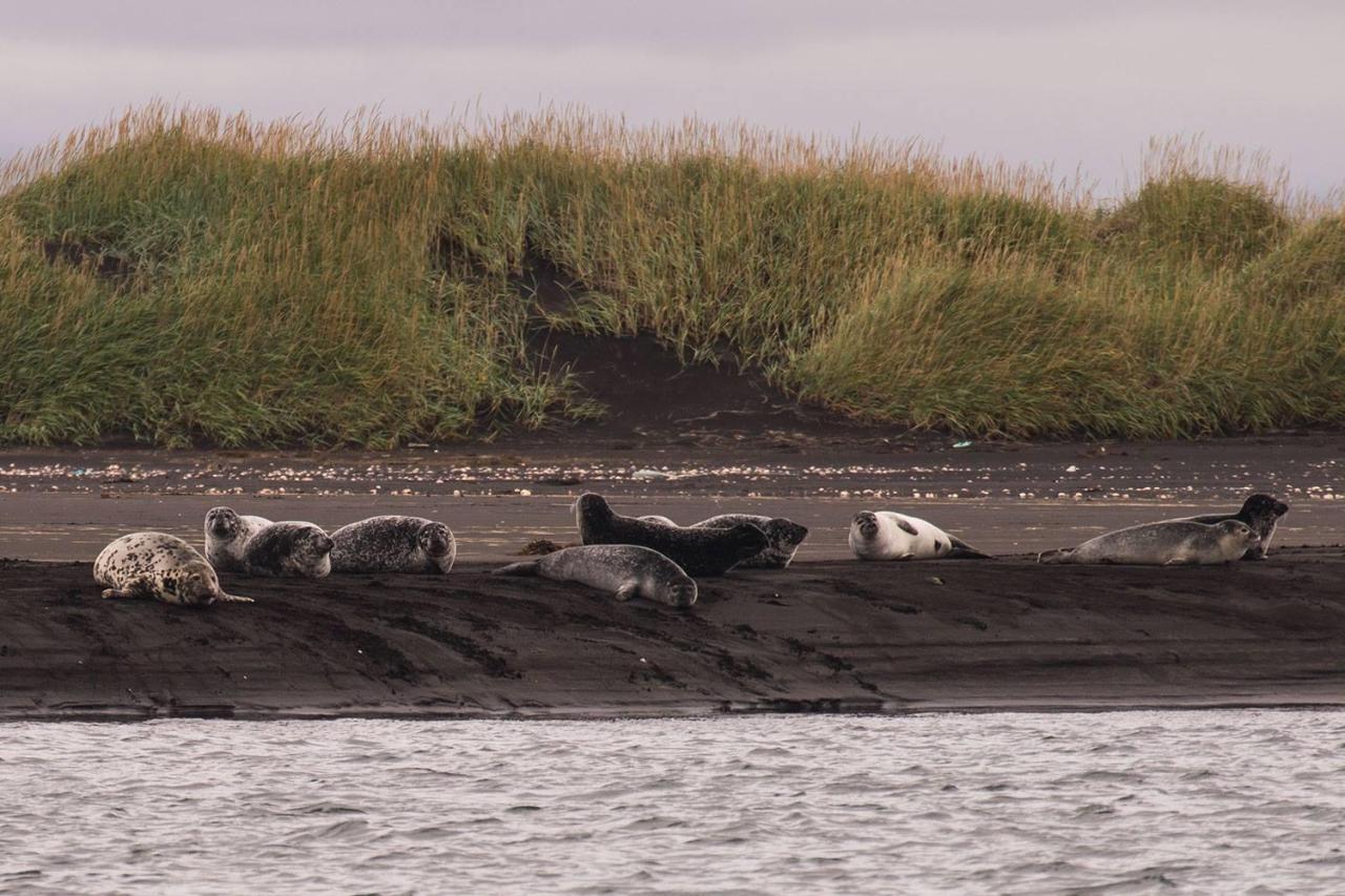 Sandur Þórshöfn Bagian luar foto