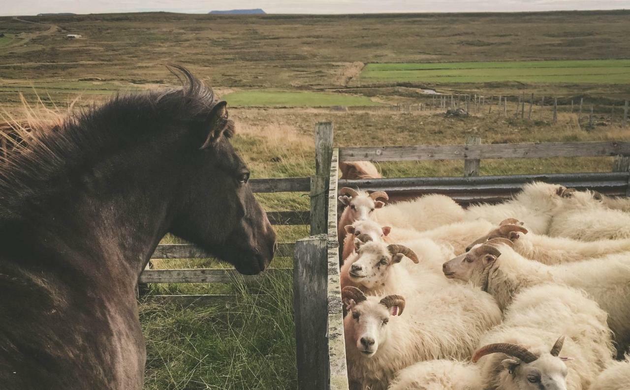 Sandur Þórshöfn Bagian luar foto