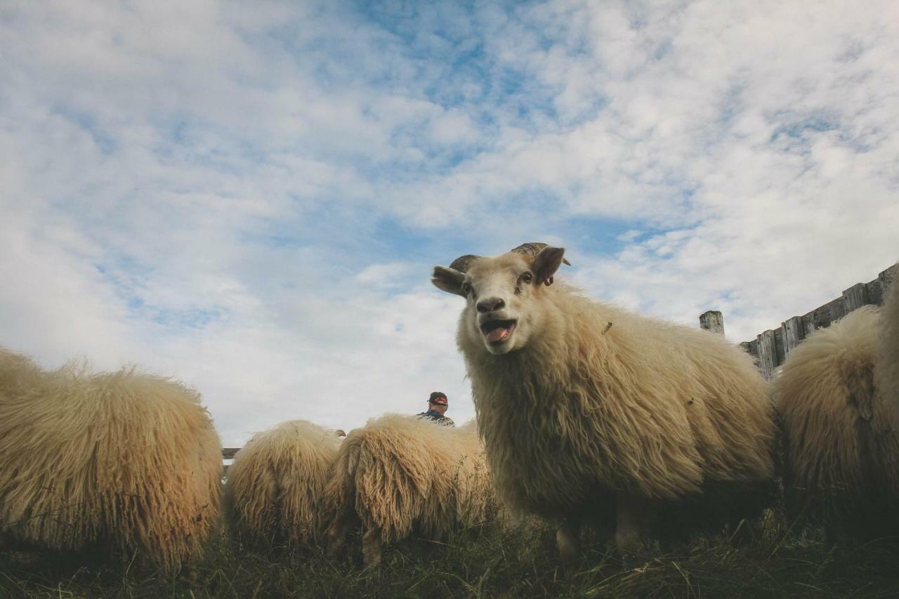 Sandur Þórshöfn Bagian luar foto